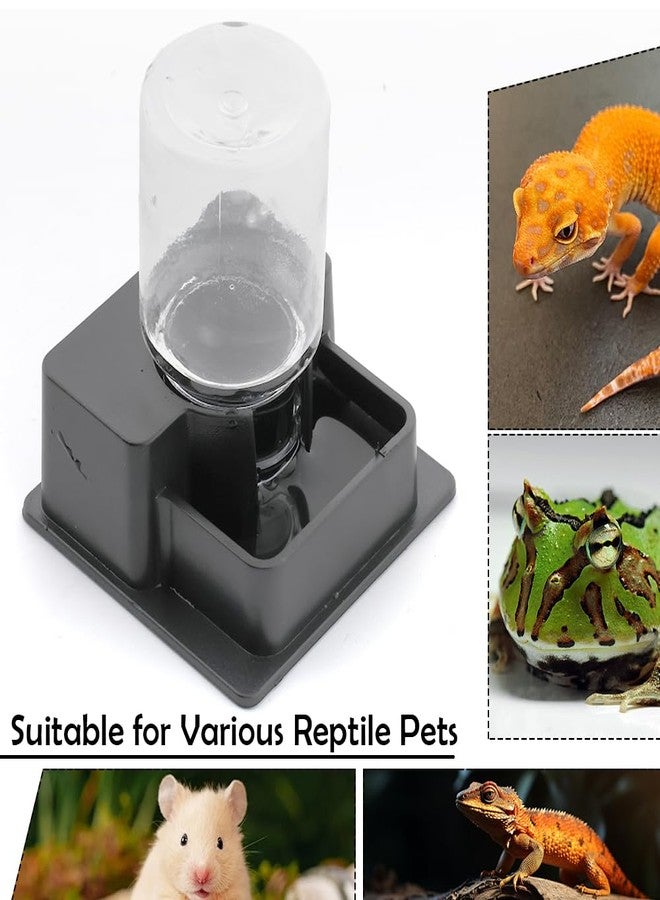 DQITJ 1 Pack Small Reptile Water Bowl Automatic Water Dispenser for Reptile Gecko Lizard Terrarium Bowl Feeder (Black) - Image 2